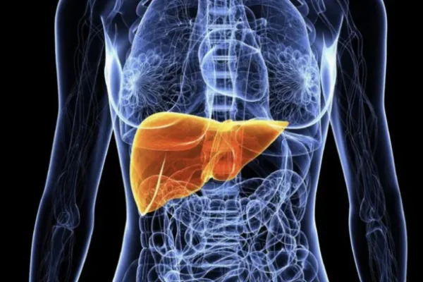 Karaciğer Emarı Nedir?