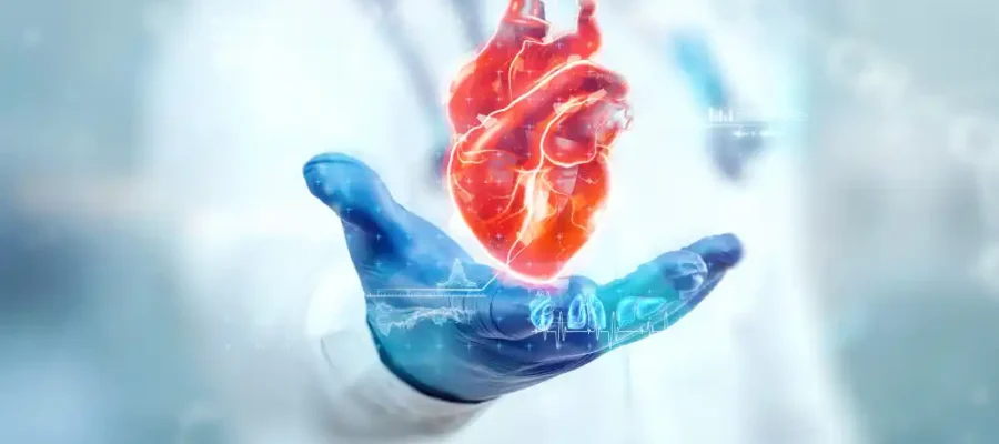 Kapsamlı Kalp Sağlığı Programı