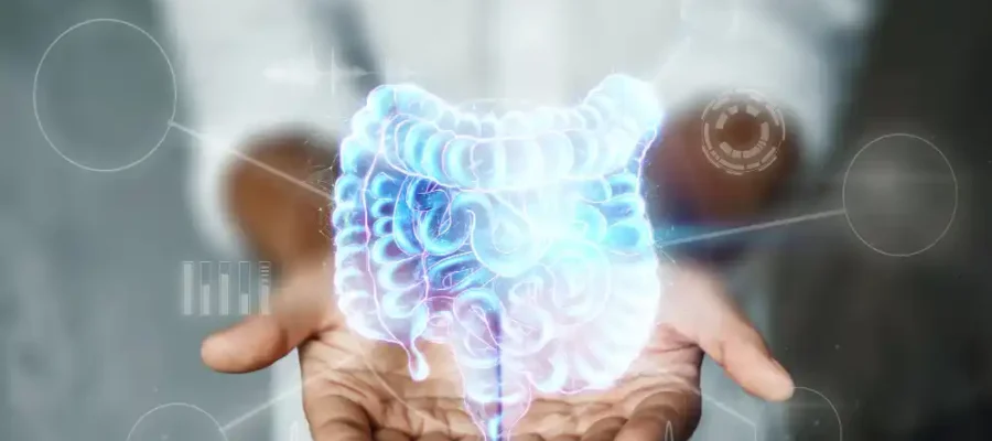 Kapsamlı Sindirim ve Metabolizma Sağlığı Programı